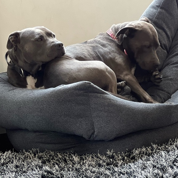 Meet your Posher. ❤️🩷💙💚💜🫶🫶🏼🫶🏽🫶🏾🫶🏿💞 - Picture 2 of 3